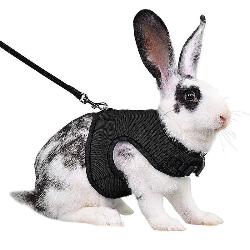 Ensemble harnais et laisse en maille respirante pour petits animaux