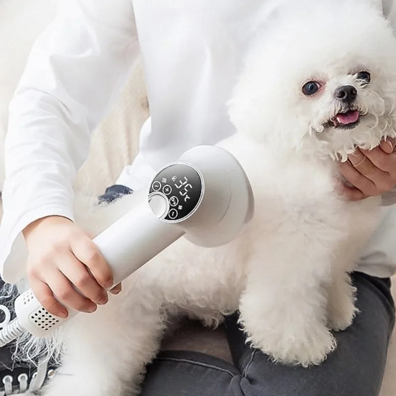 Sèche-cheveux professionnel pour animaux de compagnie, brosse à air chaud et froid pour chiens, chats, chiots, machine de séchage spéciale à forte puissance, fournitures pour chiens, produits pour animaux de compagnie