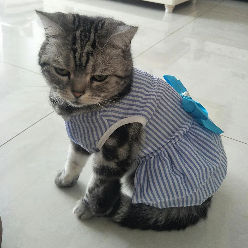 Prinzessinnenkleid für Katzenwelpen – Gestreiftes kariertes Sommerkleid mit Schleife für Katzen, Kätzchen, Kaninchen und kleine Hunde