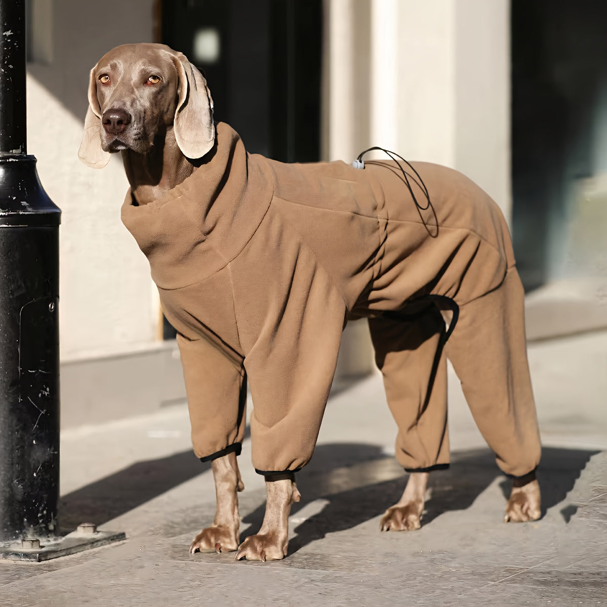 Pull polaire douillet pour chien – Chaleur hivernale pour les grandes races comme les Golden Retrievers et les Labradors