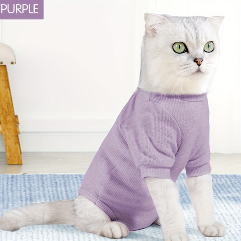 Combinaison de récupération confortable pour chat - Respirante et anti-léchage