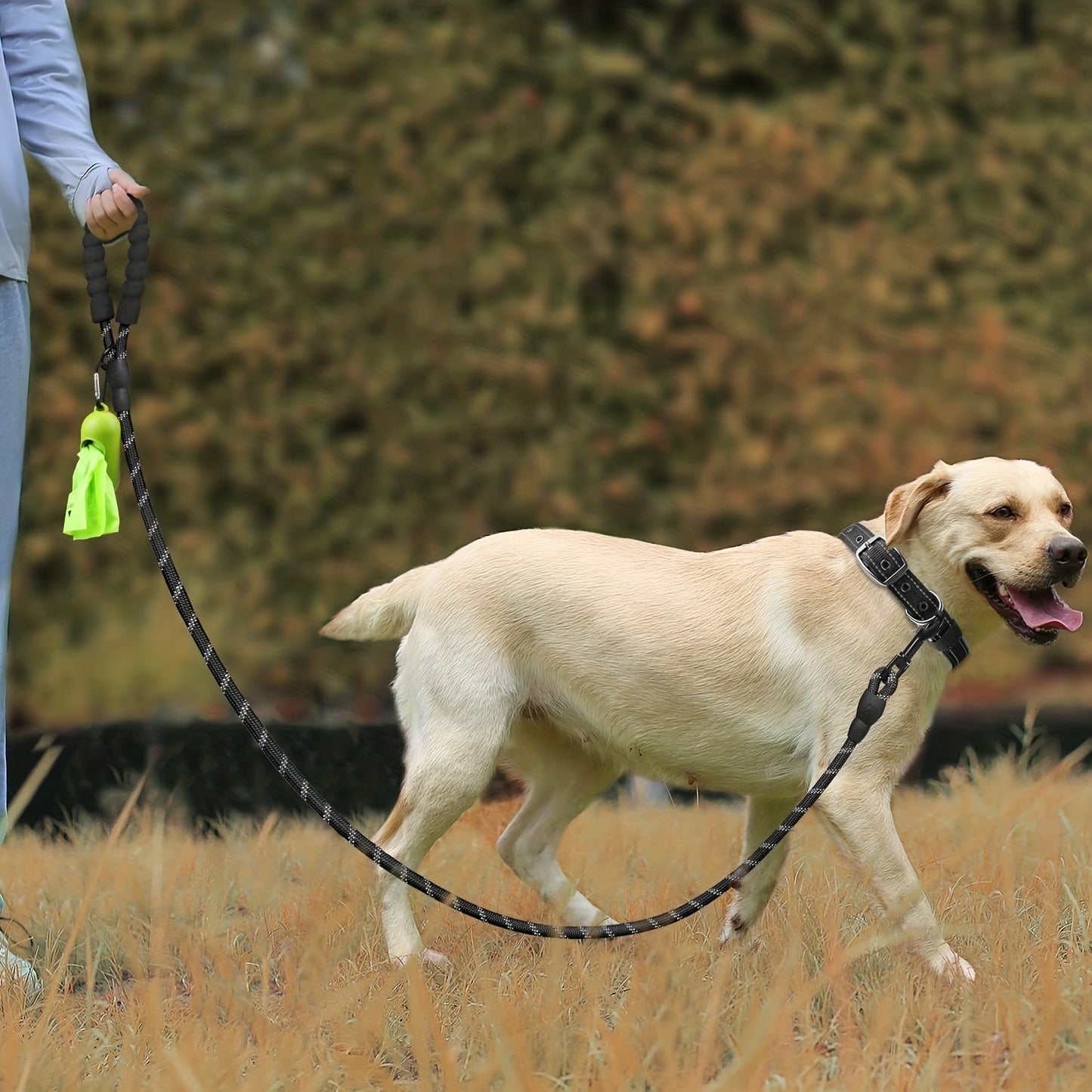 Ensemble laisse et collier pour animaux de compagnie JOYTALE, laisse réfléchissante et collier en nylon réglable pour chiens de petite, moyenne et grande taille