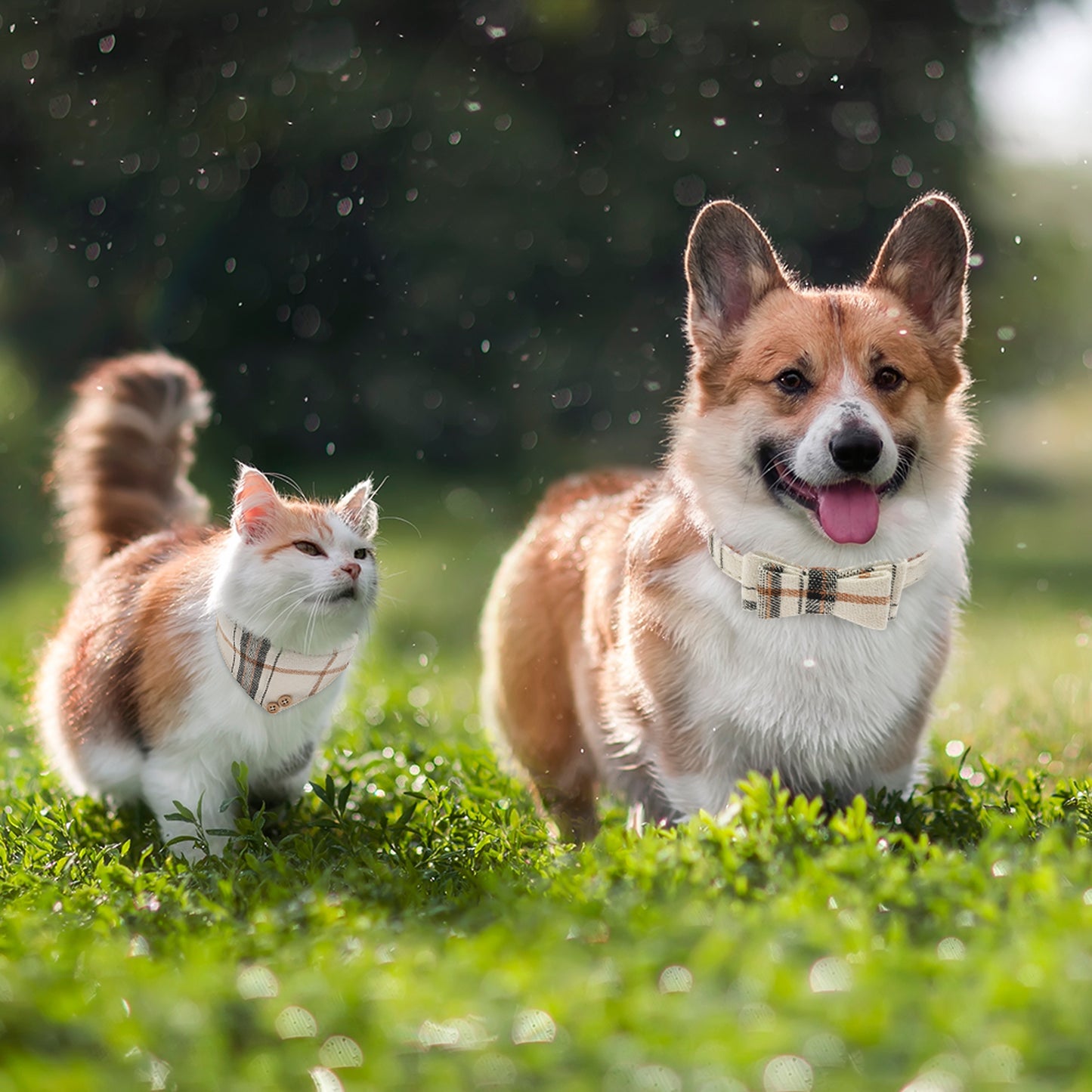 Ensemble de 3 colliers et laisses en cuir pour petit chien, nœud papillon à carreaux et bandana, joli collier pour chien avec clochette - Colliers réglables pour animaux de compagnie avec laisse de marche pour petit chien, chiot, chat