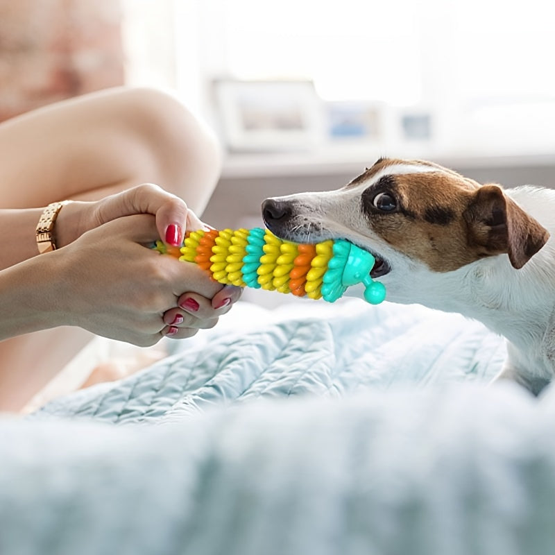 Jouets durables pour chiens agressifs – Jouet à mâcher en caoutchouc naturel pour le nettoyage des dents