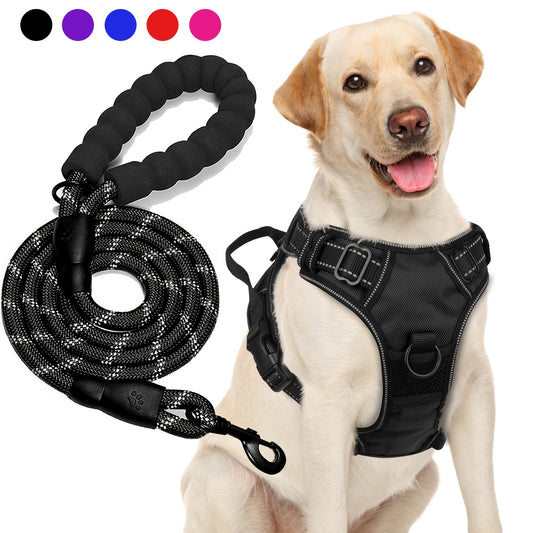 Ensemble harnais et laisse réfléchissants pour chien - Réglable et durable