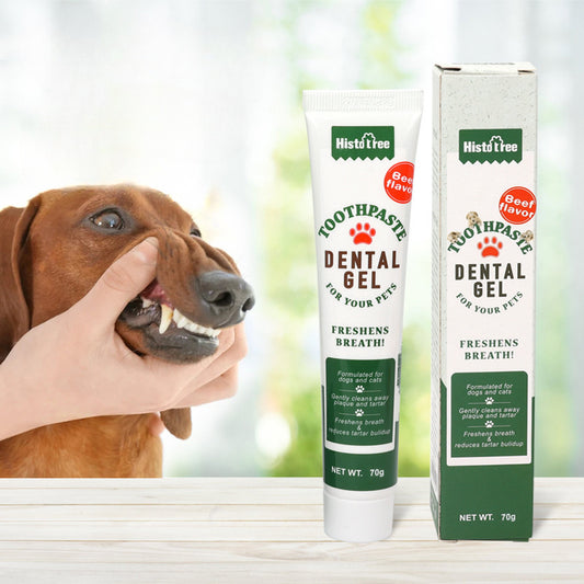 1 Stück HistoTree Zahnpasta-Gel mit Rindfleisch- und Vanillegeschmack, Zahnpflege für Haustiere, erfrischt den Atem, Mundhygiene für Hunde und Katzen, 70-g-Tuben