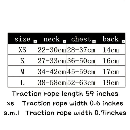 Ensemble harnais et laisse pour chien en tricot toutes saisons – Gilet de poitrine réglable et respirant avec boucle à pression