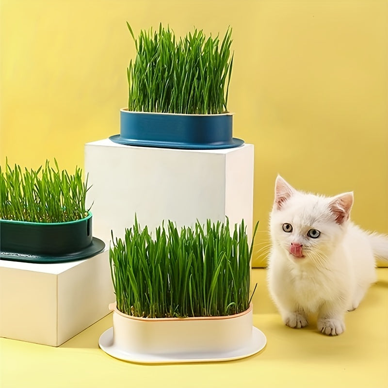 (Sans graines) Boîte de plantation d'herbe à chat, boîte de plantation hydroponique, plateau de germination de graines de jardin, ensemble de plateaux de germination de graines