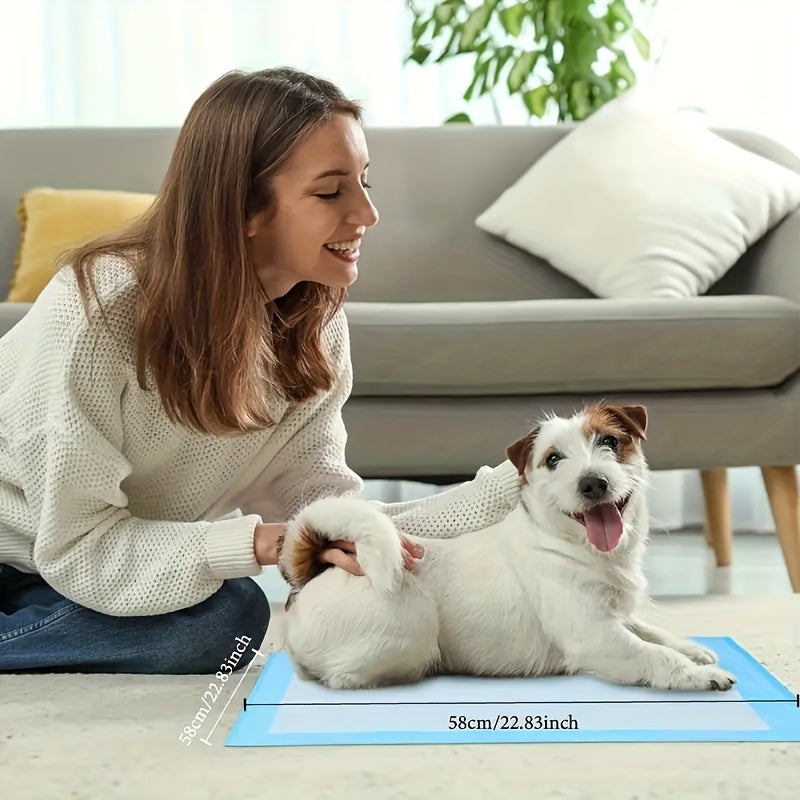 Tapis d'apprentissage de la propreté pour grand chien - Absorption rapide et contrôle des odeurs