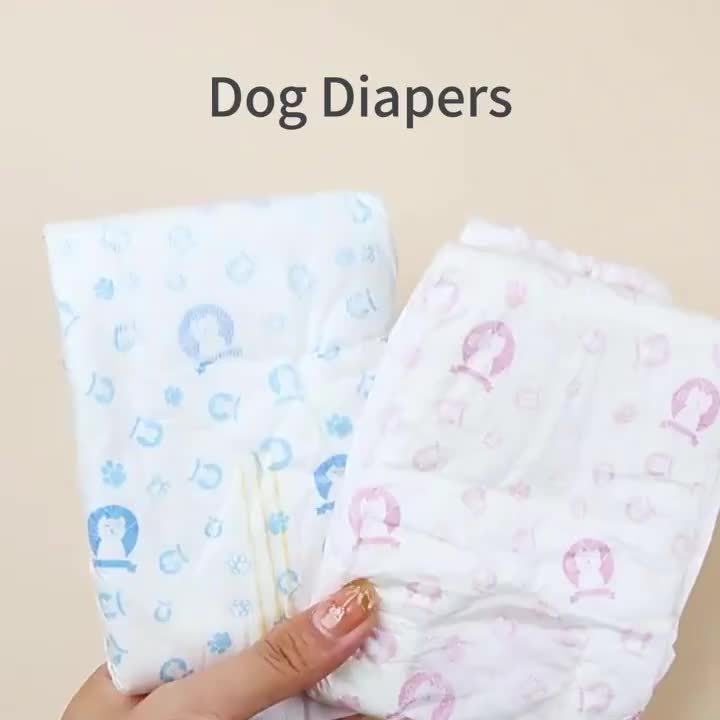 Couches pour animaux de compagnie Culottes pour chiens mâles et femelles 