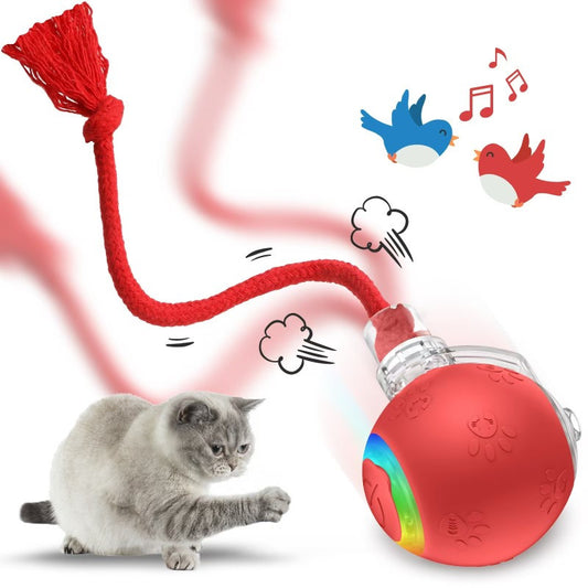 Jouet interactif rechargeable pour chat – Balle magique à roulement automatique avec motif dessin animé, chargement USB, batterie au lithium basse tension, matériau en silicone, imprimé animal pour toutes les races, jouets interactifs pour chat 