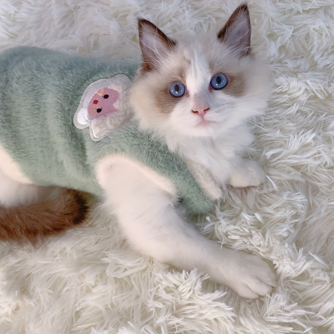 Gilet épais et chaud pour chat adorable – Tenue confortable pour l'automne et l'hiver, empêche la perte de poils 
