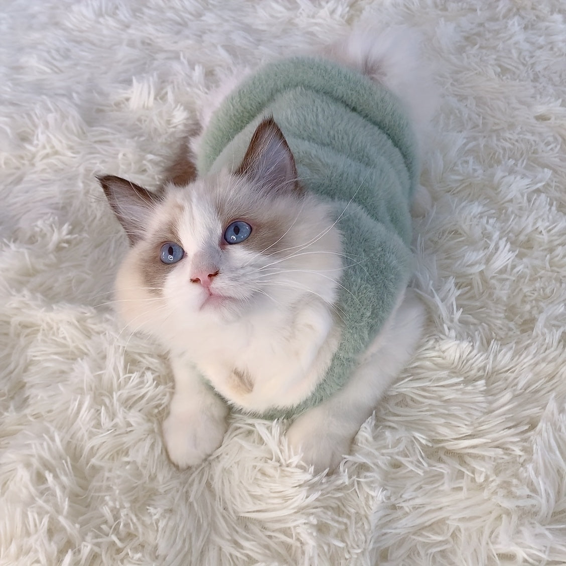 Gilet épais et chaud pour chat adorable – Tenue confortable pour l'automne et l'hiver, empêche la perte de poils 