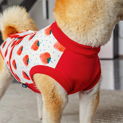 Genesungsweste für Hunde – bequem und flexibel 