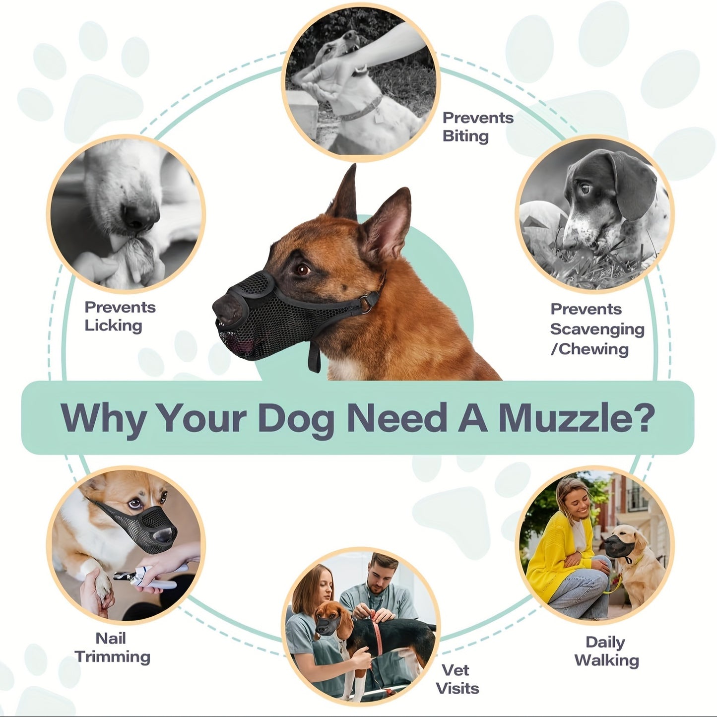 Muselière pour chien en maille respirante – Masque de sécurité confortable anti-aboiements et morsures pour animaux de compagnie