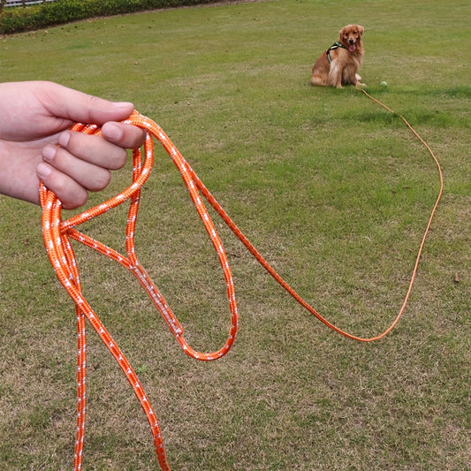 Laisse longue réfléchissante pour chiens de grande, moyenne et petite taille, pour s'entraîner à l'extérieur, marcher, jouer, camper ou dans la cour