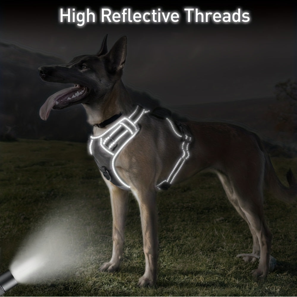 Ensemble harnais et laisse réfléchissants pour chien - Réglable et durable