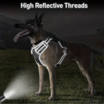 Ensemble harnais et laisse réfléchissants pour chien - Réglable et durable