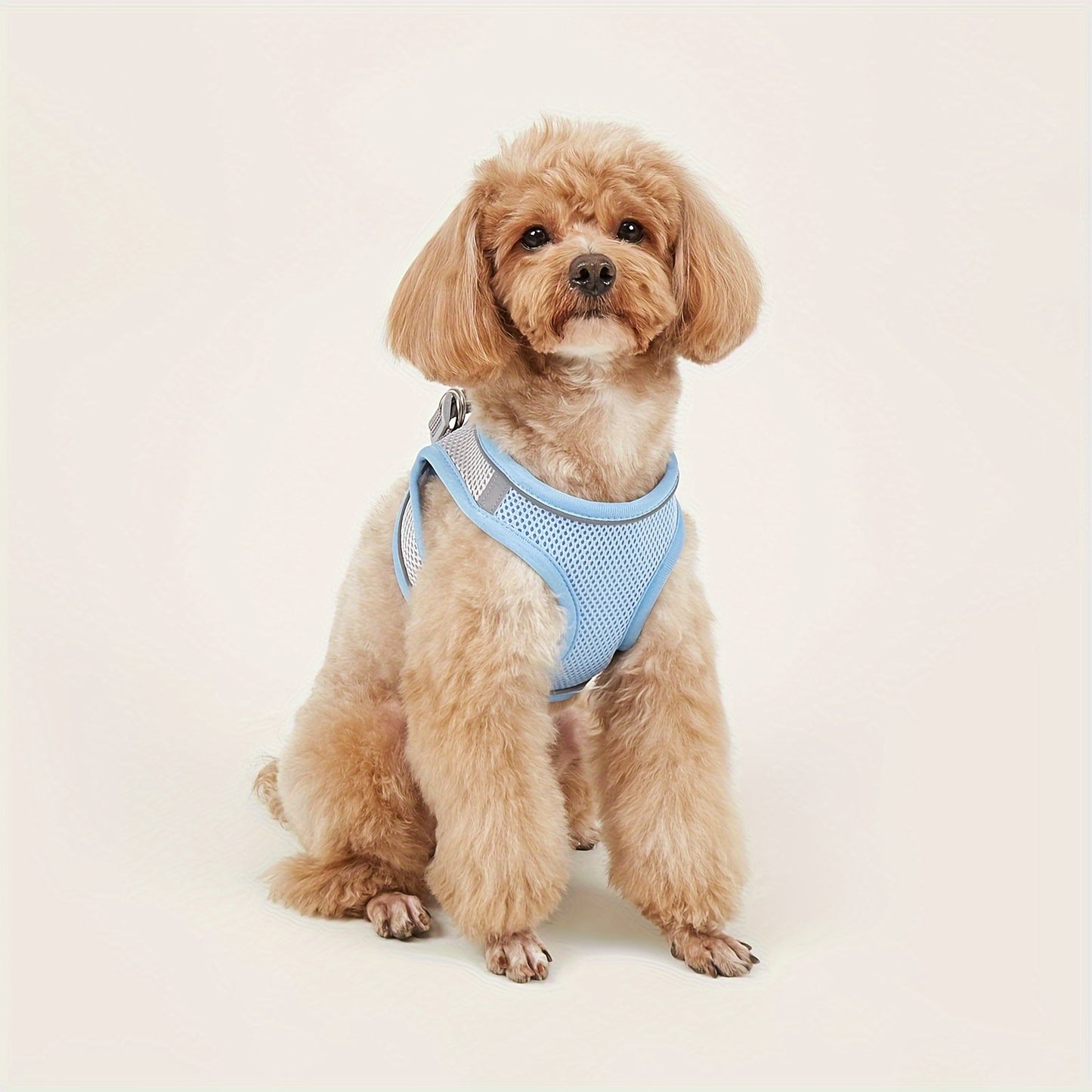 Harnais confortable et sûr pour animaux de compagnie – Gilet en maille souple avec bande réfléchissante pour petits chiens et chats