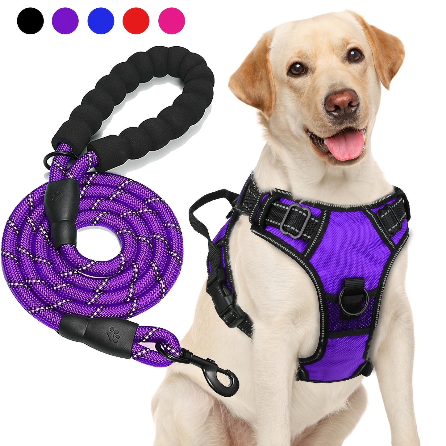 Ensemble harnais et laisse réfléchissants pour chien - Réglable et durable