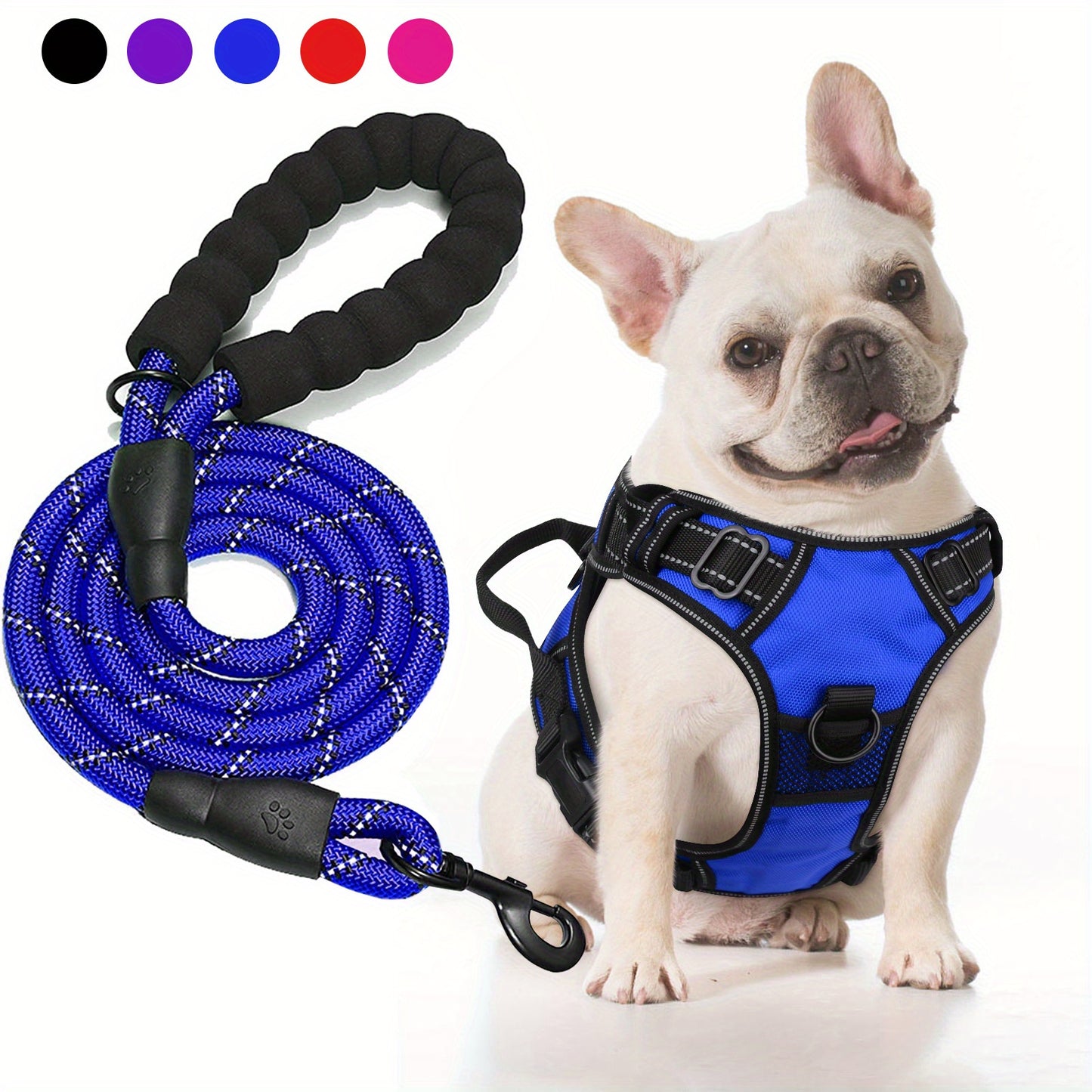 Ensemble harnais et laisse réfléchissants pour chien - Réglable et durable