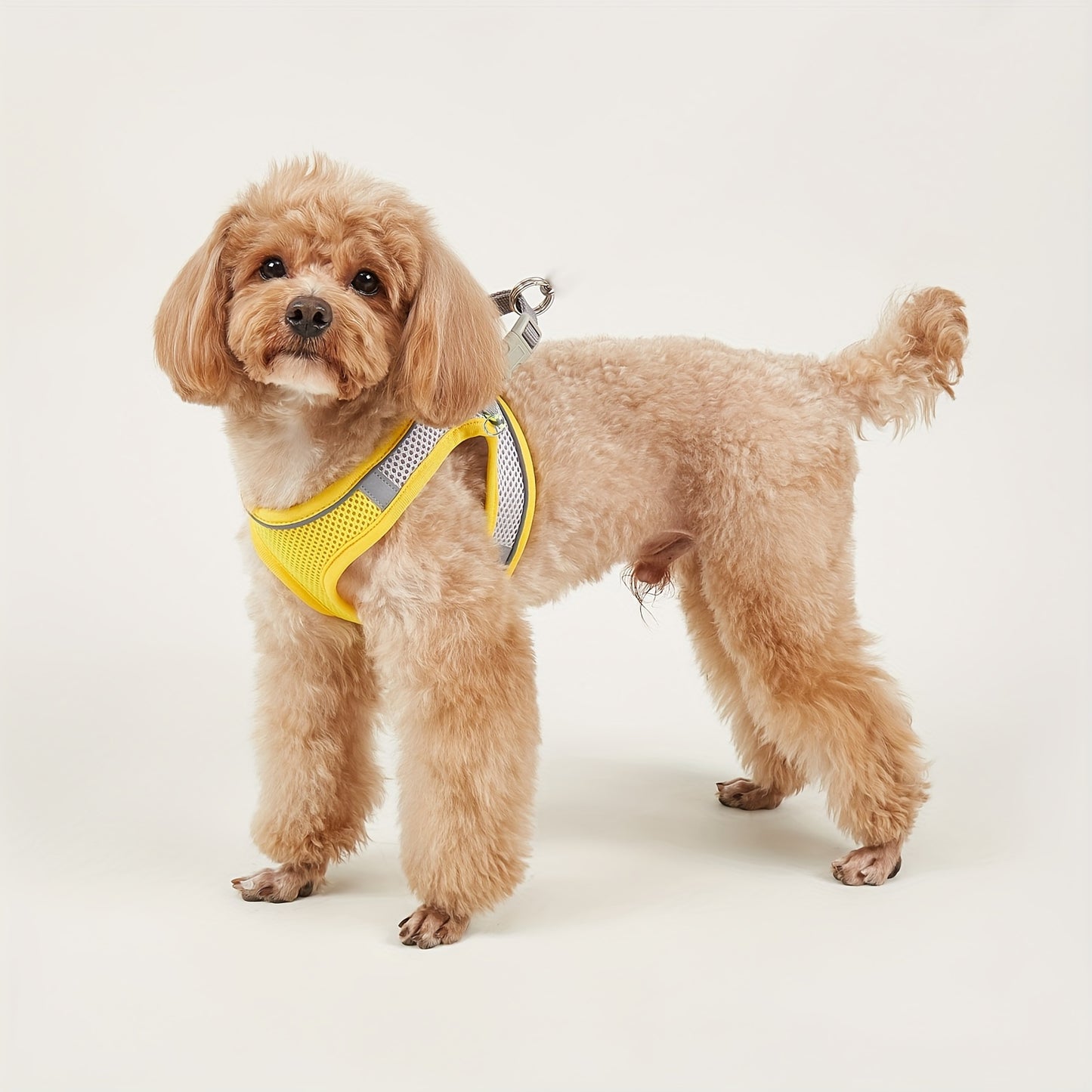 Harnais confortable et sûr pour animaux de compagnie – Gilet en maille souple avec bande réfléchissante pour petits chiens et chats