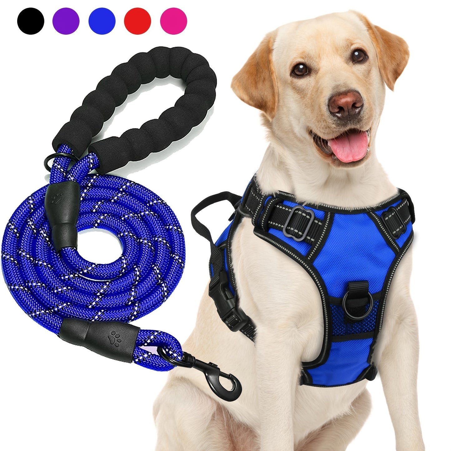 Ensemble harnais et laisse réfléchissants pour chien - Réglable et durable