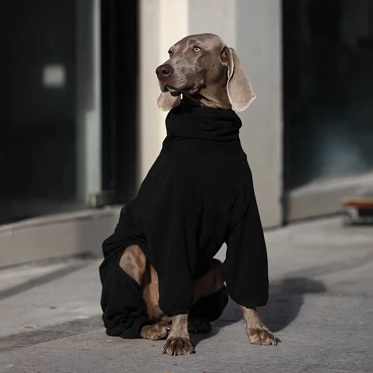 Pull polaire douillet pour chien – Chaleur hivernale pour les grandes races comme les Golden Retrievers et les Labradors