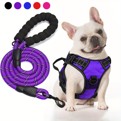 Ensemble harnais et laisse réfléchissants pour chien - Réglable et durable