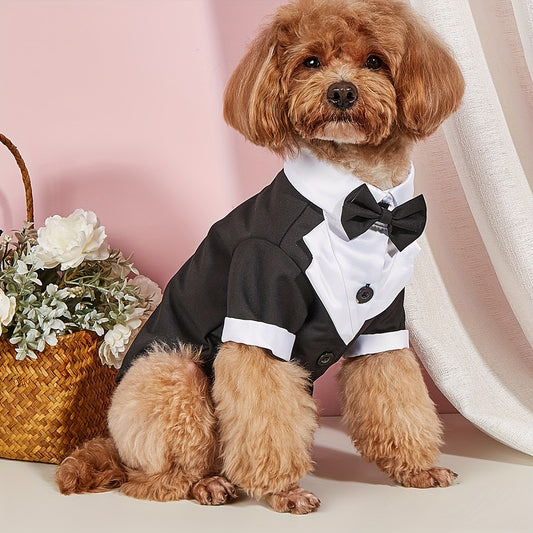 Vêtements pour petits chiens Costume de mariage formel avec nœud papillon 