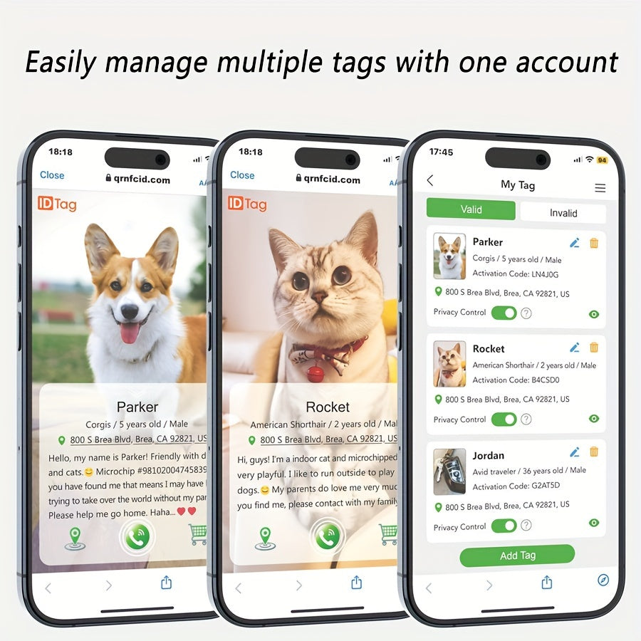 Collier réfléchissant pour animaux de compagnie avec code QR et fonction anti-perte - Haute visibilité la nuit, polyester rayé, idéal pour chats et petits chiens 