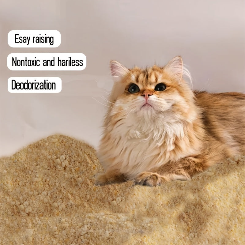 Déodorant pour litière pour chat – Éliminateur d’odeurs d’aromathérapie pour les odeurs d’urine et de chat 
