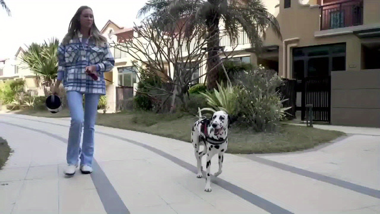 Bouteille d'eau pour chien Ocean Blue de grande capacité de 74 oz avec bol intégré - Portable et étanche pour la randonnée, le camping et les jeux au parc - Idéale pour les races de petite à moyenne taille 