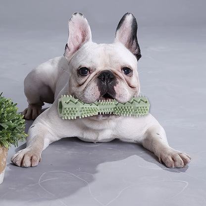 Jouet pour brosse à dents pour chien – Bâton molaire en caoutchouc souple pour la mastication interactive et le nettoyage des dents (1/3 pièces)