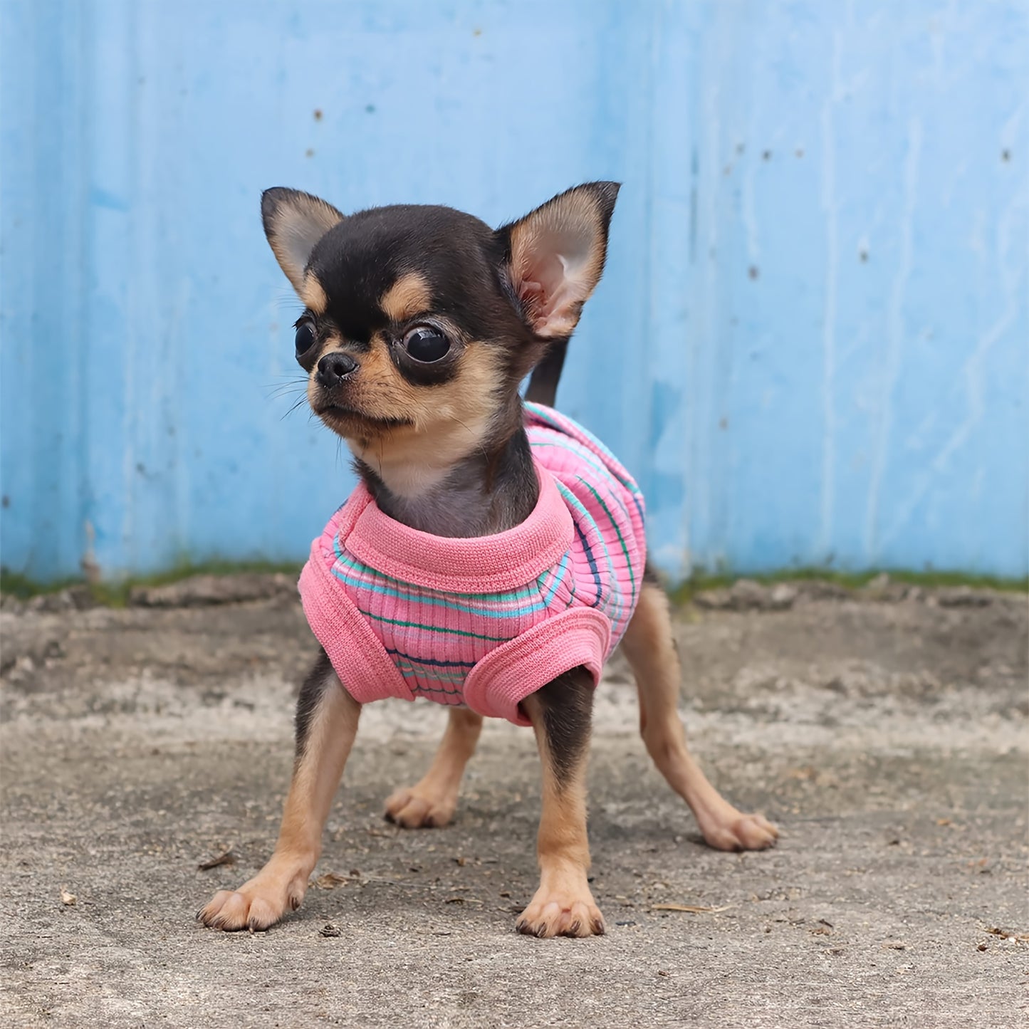 PAIAITE Gilet pour chien côtelé – T-shirt à enfiler 100 % rayonne pour petites races, tenue pour chiot Chihuahua (rose)