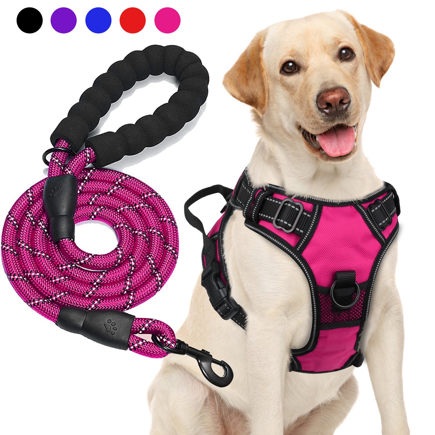 Ensemble harnais et laisse réfléchissants pour chien - Réglable et durable