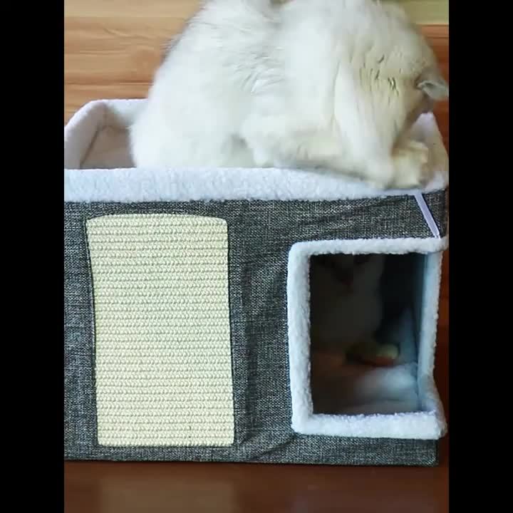 Maison de luxe à plusieurs étages pour chat - Lit à 2 niveaux et tunnel de jeu