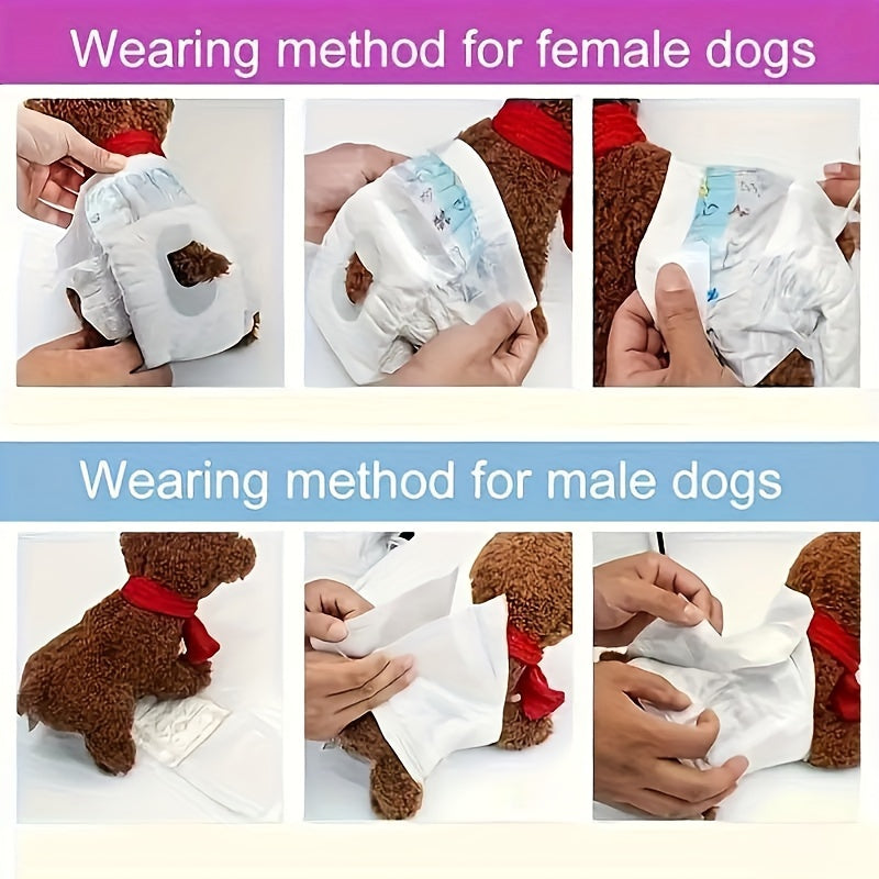 Couches pour animaux de compagnie Culottes pour chiens mâles et femelles 