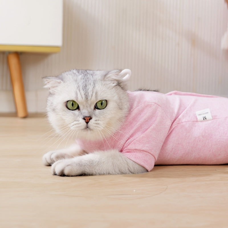 Combinaison de récupération confortable pour chat - Respirante et anti-léchage