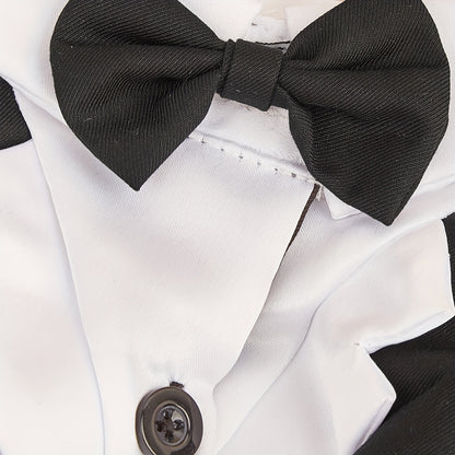Vêtements pour petits chiens Costume de mariage formel avec nœud papillon 