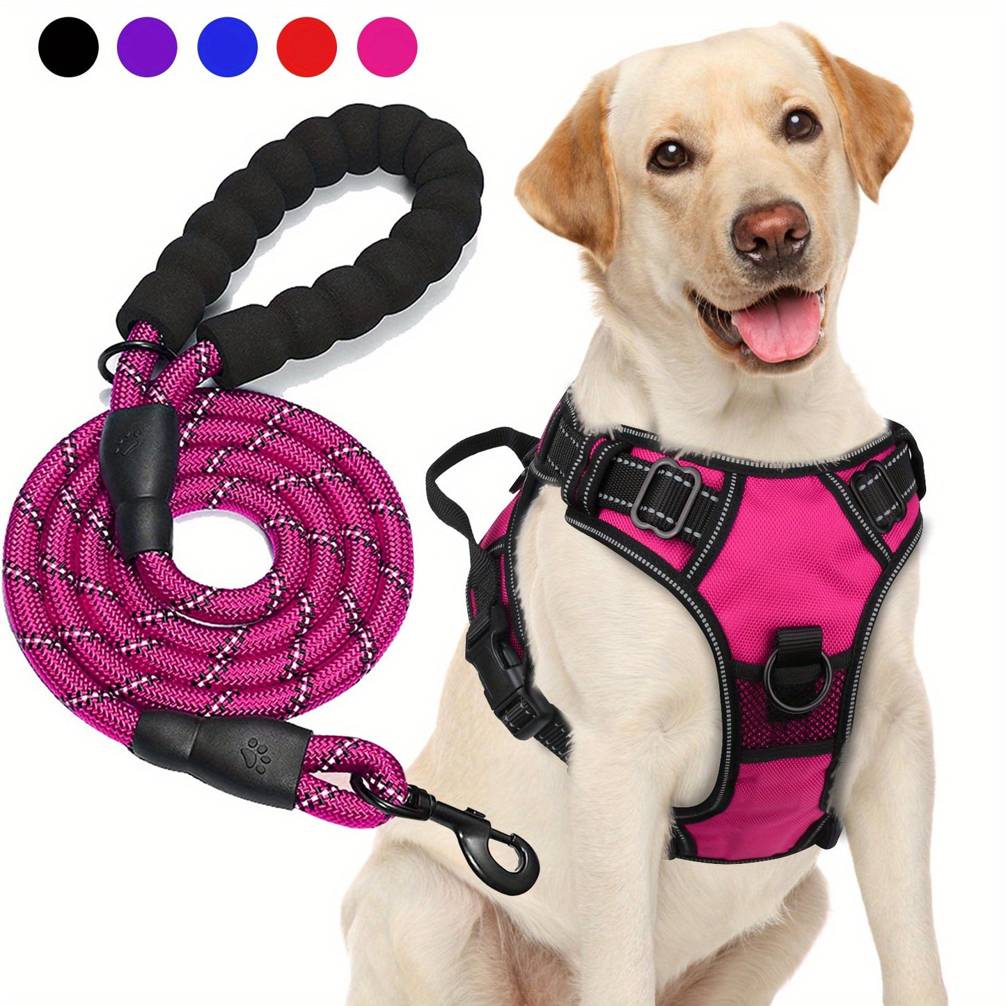 Ensemble harnais et laisse réfléchissants pour chien - Réglable et durable
