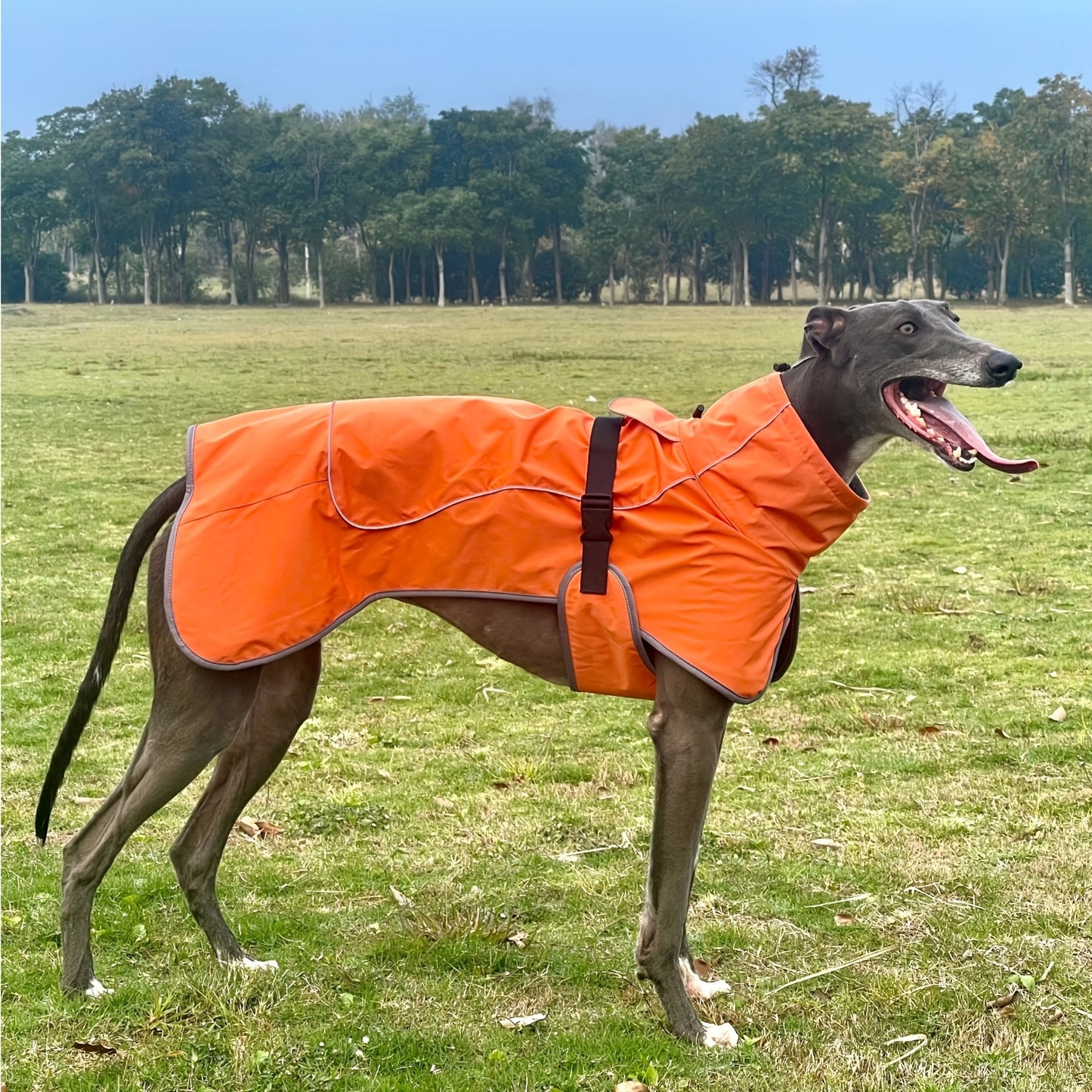 Vestes d'hiver à double couche pour chiens - Manteaux imperméables et chauds pour grands chiens