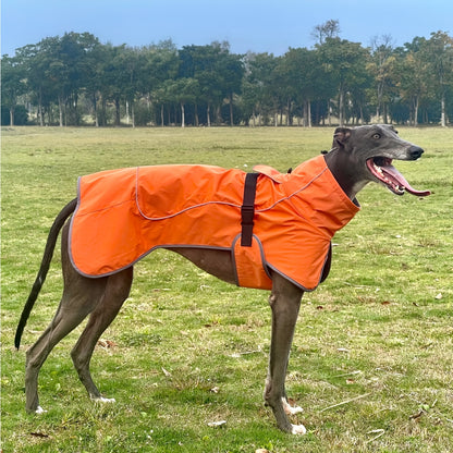 Vestes d'hiver à double couche pour chiens - Manteaux imperméables et chauds pour grands chiens
