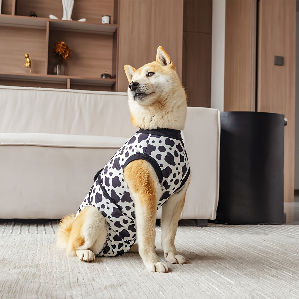 Genesungsweste für Hunde – bequem und flexibel 