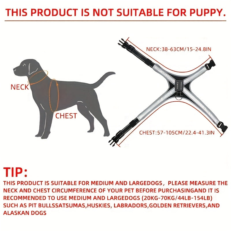Gilet LED rechargeable pour animaux de compagnie à 8 couleurs - Gardez votre chien en sécurité et visible la nuit avec des lumières clignotantes - Convient aux chiens de taille moyenne et grande