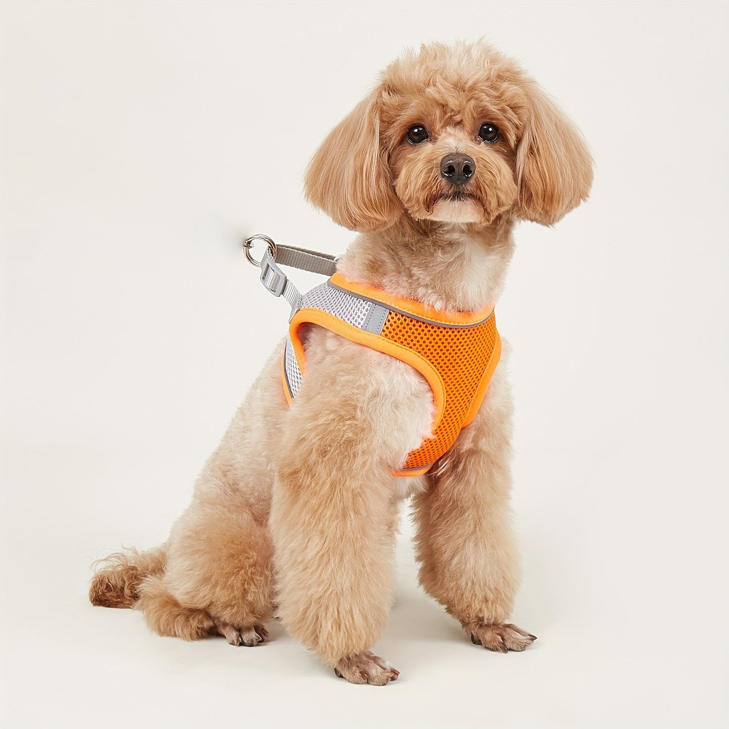 Harnais confortable et sûr pour animaux de compagnie – Gilet en maille souple avec bande réfléchissante pour petits chiens et chats