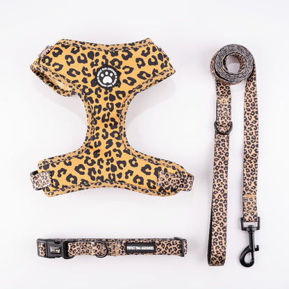 Ensemble harnais et laisse pour chien en tricot toutes saisons – Gilet de poitrine réglable et respirant avec boucle à pression