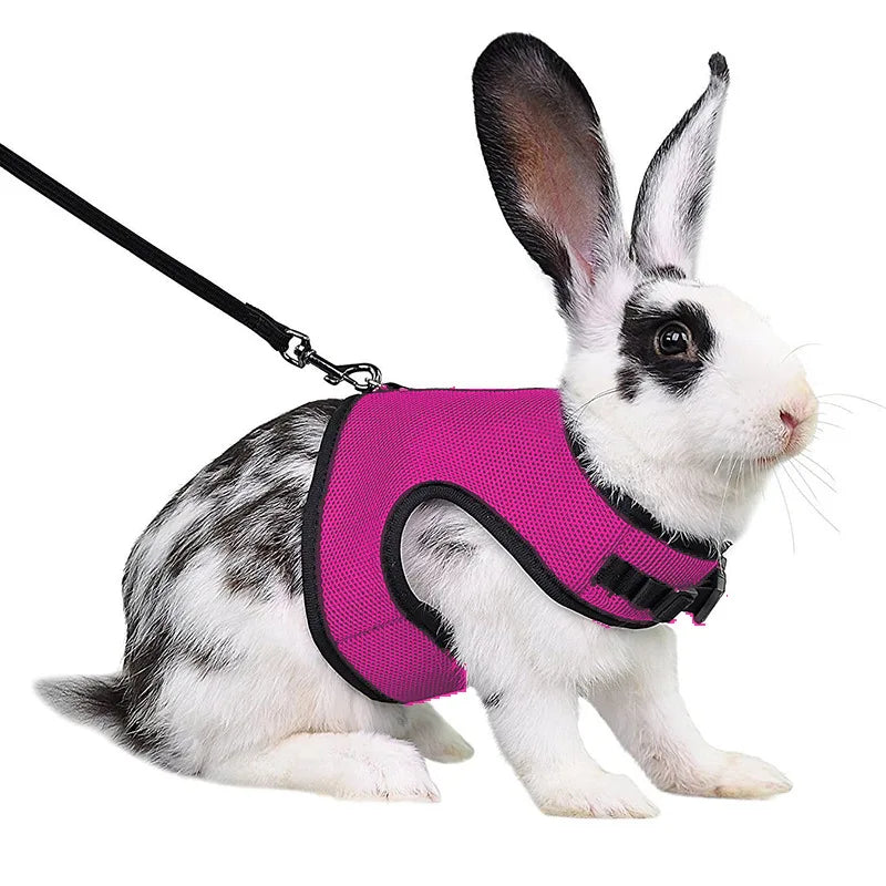 Ensemble harnais et laisse en maille respirante pour petits animaux
