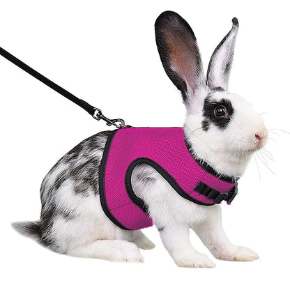 Ensemble harnais et laisse en maille respirante pour petits animaux