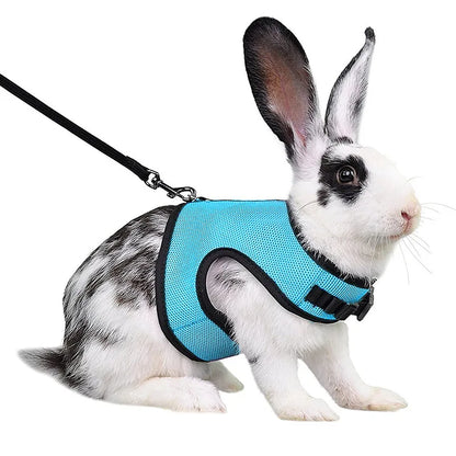 Ensemble harnais et laisse en maille respirante pour petits animaux